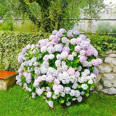 Maison Vittorio Bed and breakfast Avella