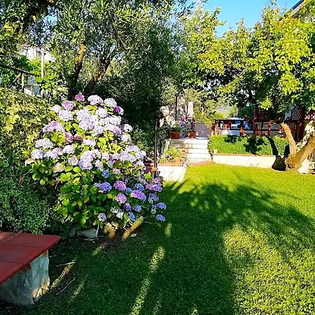 Maison Vittorio 4* Avella
